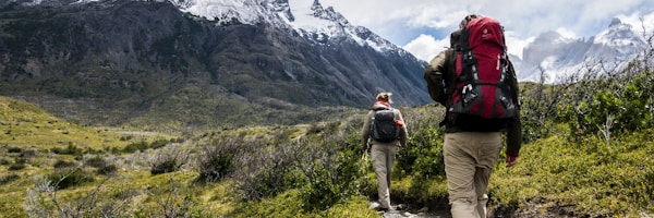 云端观赛LIVE频道 - 多屏幕显示不同体育赛事直播画面